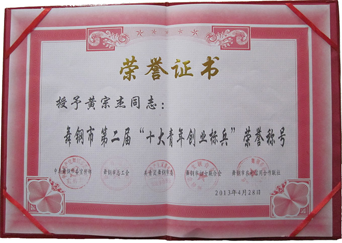 业易网特产连锁被评为“舞钢市十大青年创业标兵”